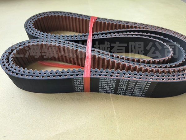 S5M900 BELT